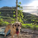 농협주덕 이미지