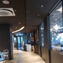 크레이지솔트 이미지