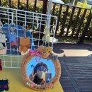 나의 감정 모루인형 만들기 이미지