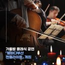 캔들바다 이미지