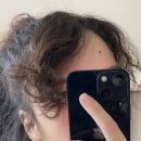 수미가통돼지 | untitled, 𝟚𝟘𝟚𝟜 𝟙𝟙