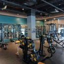 헬스더맥스헬스&PT동탄점 | 💪 동탄 헬스장 찾다가 등록한 헬스더맥스 헬스&amp;PT 동탄점 후기