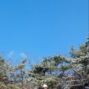 눈꽃 - 천안시 서북구 검은들3길 38 | 눈꽃