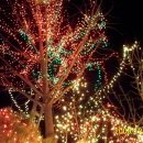 산노울가든 이미지