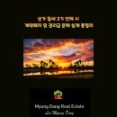 뉴동일공인중개사사무소 이미지