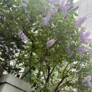 [여수여행1박2일 꿀팁후기]꽃돌게장1번가,해상케이블카 후기, 낭만포차18번이순신후기