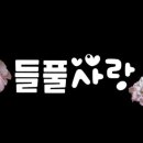 금다육꽃사랑
