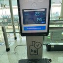 에티하드항공 후기 EY857 눕코노미 아부다비 자이드 국제 공항 경유