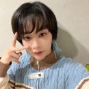 비양 이미지