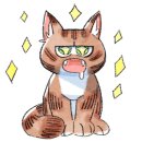 세차잘하는남자들 이미지