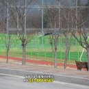 흥천체육공원 축구장 이미지