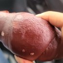 빵또와베이커리 이미지