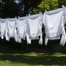 햇빛세탁 이미지