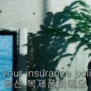 레몬아일랜드