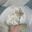 세탁 배달 서비스 [ 런드리고 ] 내돈내산 자취생 후기