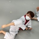 아이나무태권도 이미지