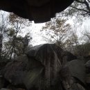 순천-25호 이미지