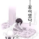 누베 이미지