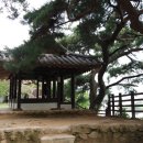 UR(상주시)-[경천로]-하-12 | 사빈의 아름다운 우리강 (11) : 경천대