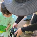 올레PC | 제주 아기스냅 다시 찾은 올레감사 제주도 스냅촬영 (가격, 장소 추천)