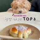 천안 강아지 실내 동반 카페 추천 TOP3🐶 비 오는 날 걱정 NO!