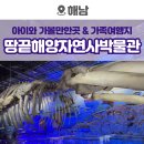 선장대형카 | 해남여행 가볼만한곳 땅끝해양자연사박물관 주차 운영시간 관람료