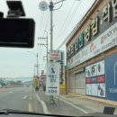 메종드댕댕