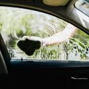 형제광택세차장 이미지