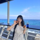 써니힐유치원 | ㅣ대중부잠(비추) 솔직 후기ㅣ소류구 거북이 스노쿨링ㅣ러버덕ㅣ보얼예술특구ㅣ써니힐 펑리수ㅣ5박6...