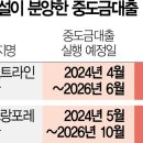 중도금 대출 관련 기사 이미지