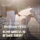 애니컴 메디컬센터 이미지