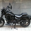 데이스타 이미지