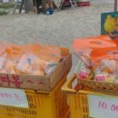 재기농산 이미지