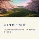 불국로(남) 이미지