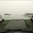 신지지 이미지