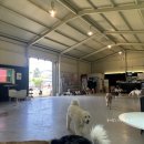 멍스플레이 이미지