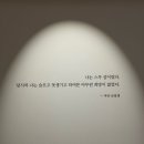 서울 전시회추천 마이아트뮤지엄 마리 로랑생 솔플후기