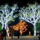 돌산공원 이미지