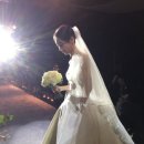 씨즈더데이 이미지