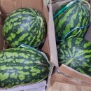 맹호합기도체육관 이미지