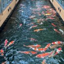 사주타로커피 이미지