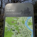 우면산 (대성사 옆) 이미지