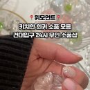 로이물물