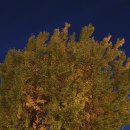 수원천로428번길 이미지