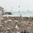 양우서점 | 칭다오 도보 여행코스, 잔교 양우서방 천주교당 소품샵