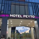 Hotel Peyto(호텔 페이토) | 서울 양재동 숙소_호텔페이토 강남