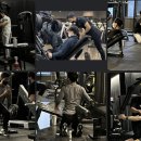 알브이디핏 PT 이미지