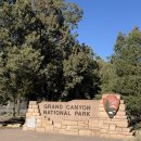 3419 | 미국 그랜드캐니언 여행/여행코스 추천/여행 꿀팁/미국 서부 로드트립 후기⛰️🌵🏜️