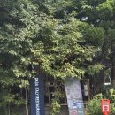 우재산업 | 경복궁역 맛집 분위기 좋은 소개팅 맛집 광화문 피자 파스타 맛집 까사이태리아