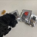 덕비네 수제간식 이미지